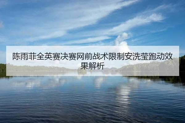 陈雨菲全英赛决赛网前战术限制安洗莹跑动效果解析
