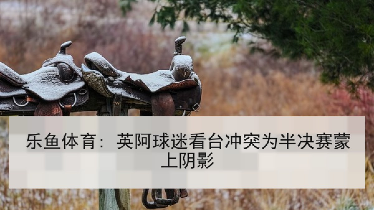 乐鱼体育: 英阿球迷看台冲突为半决赛蒙上阴影